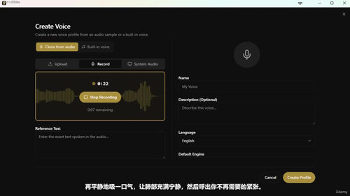 本地AI安装指南：聊天、图像、视频与语音克隆 (英文课程中文字幕)