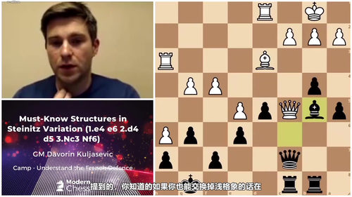 [中文配音]国际象棋法国防御大师精讲课程
