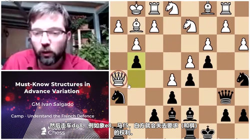 [中文配音]国际象棋法国防御大师精讲课程