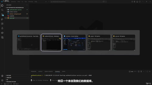 Go分布式微服务实战 (英文课程中文字幕)