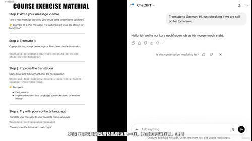 商业AI翻译实战课:快速修正翻译错误 (英文课程中文字幕)
