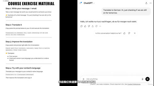 商业AI翻译实战课:快速修正翻译错误 (英文课程中文字幕)