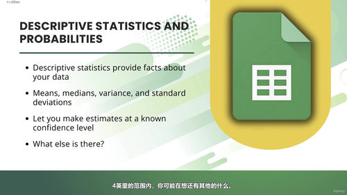 项目管理中的Excel应用技能：管理者必备的数据分析能力 (英文课程中文字幕)