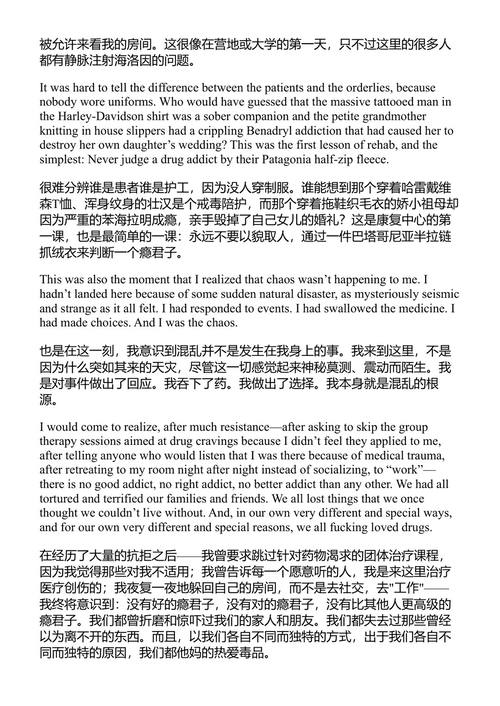 名声成疾 莉娜·邓纳姆 (中英对照电子书)