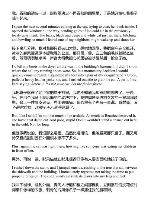 地牢探索者卡尔 马特·迪尼曼 (中英对照电子书)