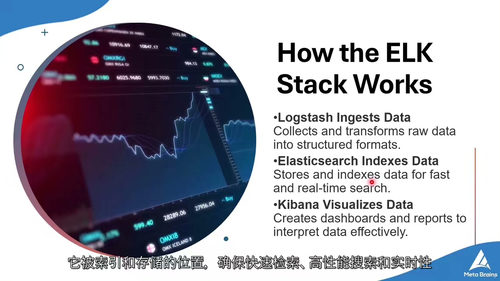 精通日志可视化分析：ELK Stack 核心工具实战指南