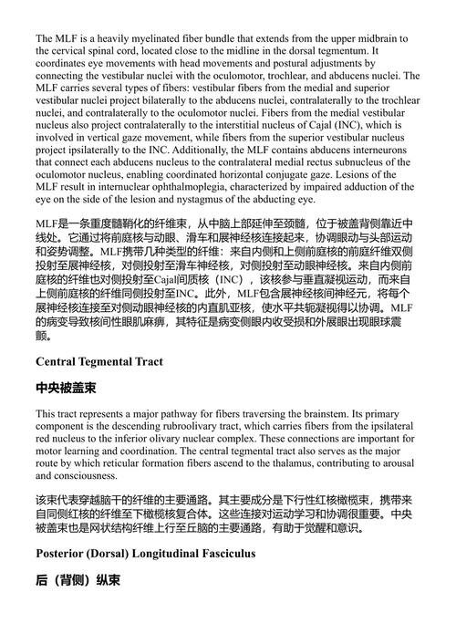 必备神经解剖学 维杰·亚纳马达拉 (中英对照电子书)