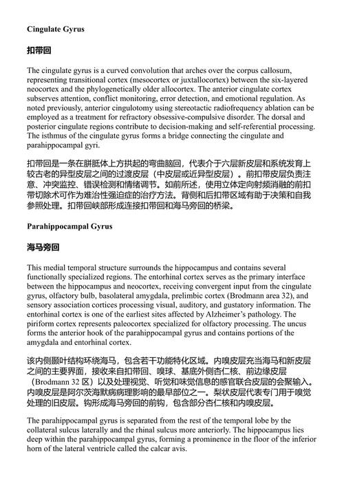 必备神经解剖学 维杰·亚纳马达拉 (中英对照电子书)