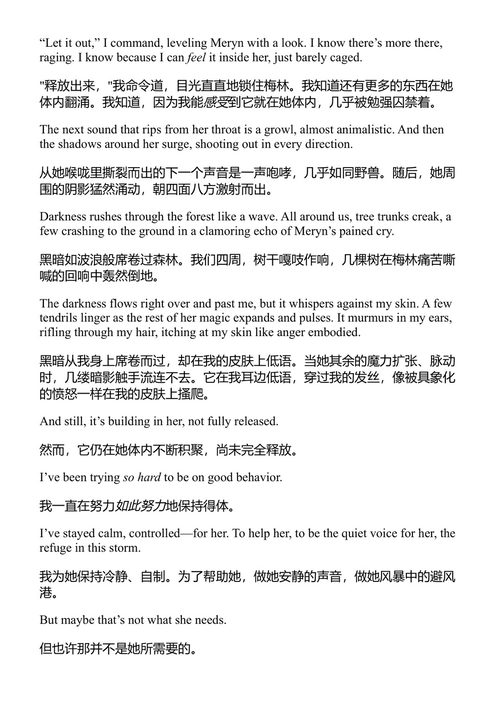 怒焰之契 萨布尔·索伦森 (中英对照电子书)