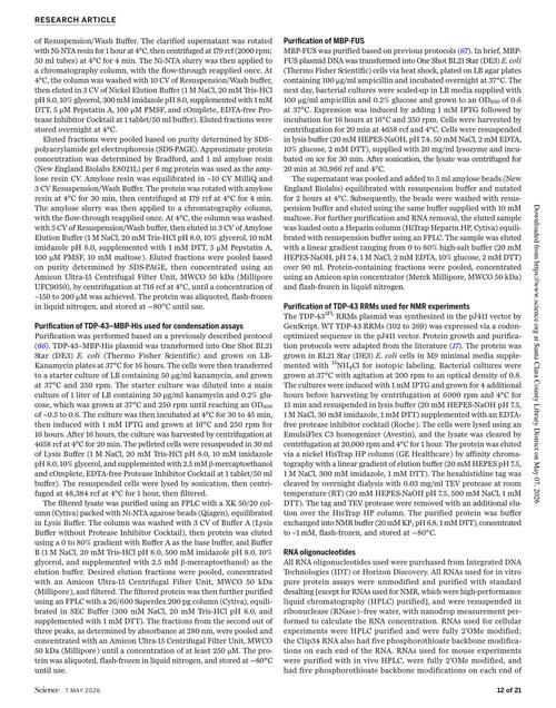 科学杂志 2026年第6798期 (英文期刊)