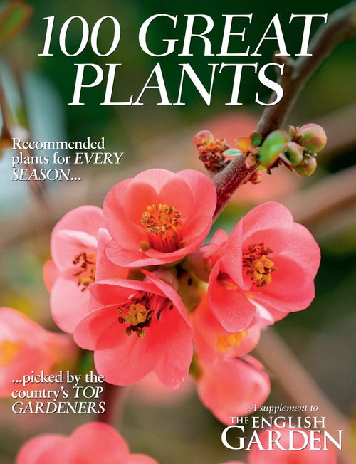 英语花园杂志 百种精选植物特辑 (英文期刊)