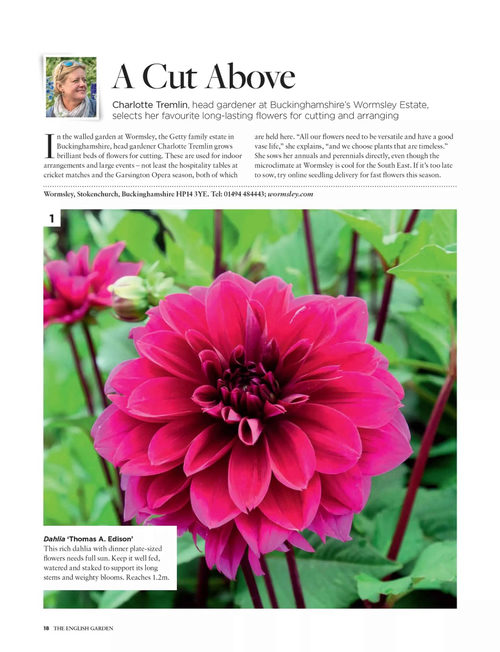 英语花园杂志 百种精选植物特辑 (英文期刊)
