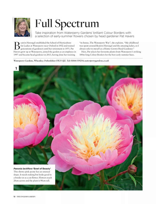 英语花园杂志 百种精选植物特辑 (英文期刊)