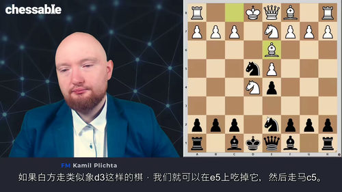 达米亚诺・彼得罗夫防御实战教程 - 国际大师卡米尔・普日奇塔