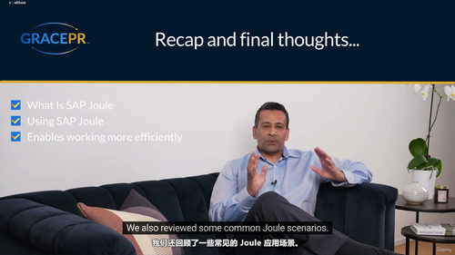 SAP S/4HANA导航精通课 (英文课程中文字幕)