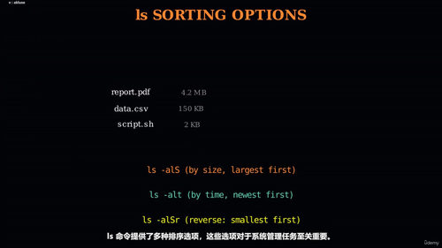 Linux精通之路：从命令行基础到LPIC-1认证备考指南 (英文课程中文字幕)