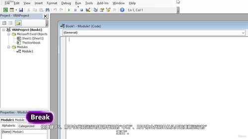 精通Microsoft Excel与Visual Basic应用 (英文课程中文字幕)