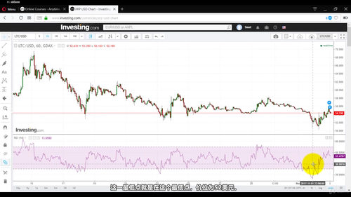 莱特币投资交易入门指南 (英文课程中文字幕)