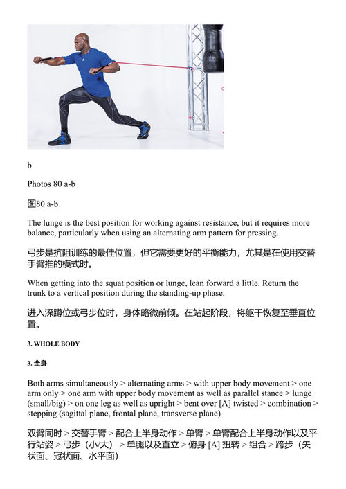 功能性健身 私人教练指南 拉马尔·洛厄里 (中英对照电子书)