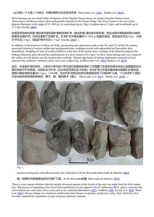 地质考古学与考古矿物学:第十一届地质考古学会议论文集 纳塔利娅·安库舍娃 等 (中英对照电子书)