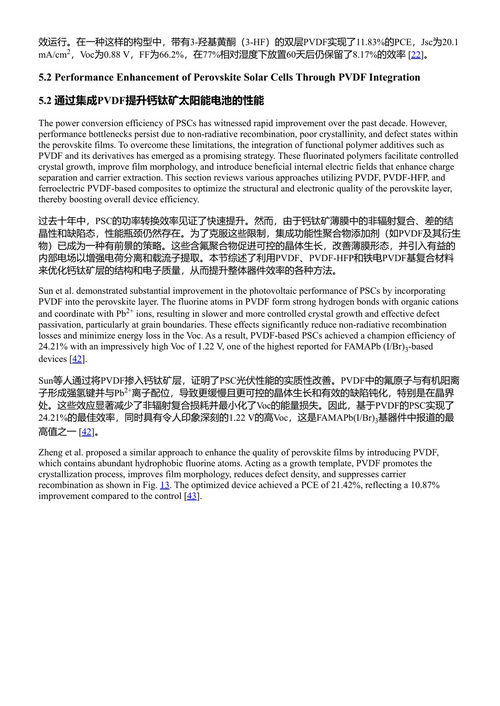 聚偏氟乙烯(PVDF):面向多功能应用的先进材料 迪帕克·普内塔 (中英对照电子书)