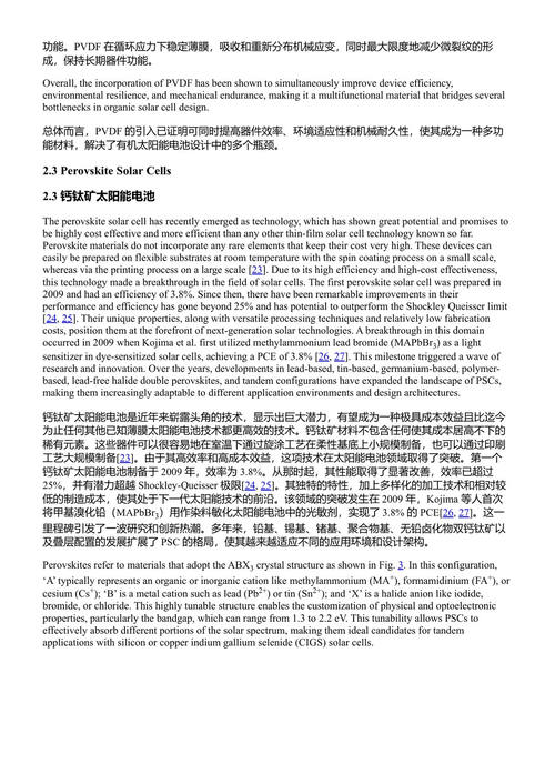 聚偏氟乙烯(PVDF):面向多功能应用的先进材料 迪帕克·普内塔 (中英对照电子书)