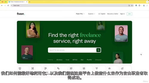 自由职业实战精通课
