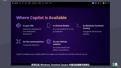 AI编程代理技能快速入门 (英文课程中文字幕)