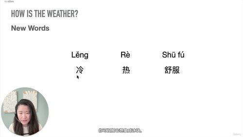 快速中文入门：忙碌成人的简单中文课 (英文课程中文字幕)