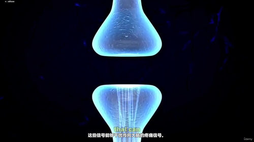 足底反射疗法——从入门到专业从业者水平 (英文课程中文字幕)