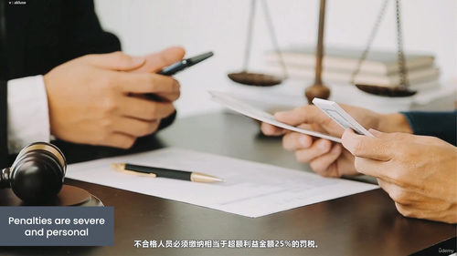 非营利组织董事会财务监督与审计委员会实务 (英文课程中文字幕)