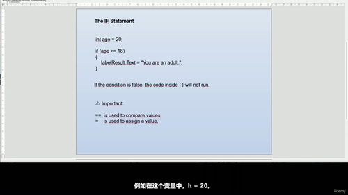 C#零基础入门：从小白到完成第一个项目 (英文课程中文字幕)