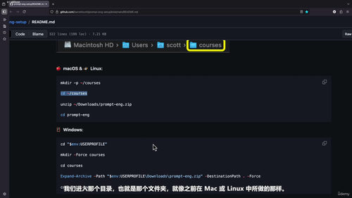 Python与OpenAI API提示工程实战 (英文课程中文字幕)