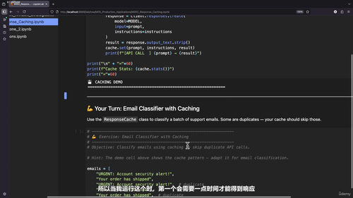 Python与OpenAI API提示工程实战 (英文课程中文字幕)