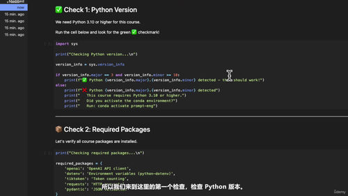 Python与OpenAI API提示工程实战 (英文课程中文字幕)