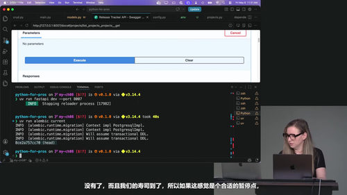 Python专业开发者实战 (英文课程中文字幕)