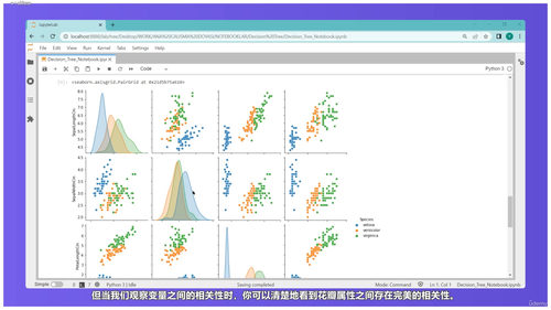 Python机器学习与数据科学实战 (英文课程中文字幕)