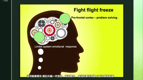 高效团队领导力:卓越领导的实践法则 (英文课程中文字幕)