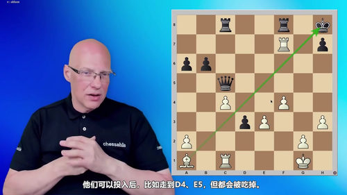 [中文配音]国际象棋将杀模式手册课程