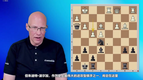 [中文配音]国际象棋将杀模式手册课程