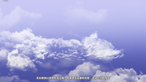 寻找内心的平静——21天身体静止冥想之旅 (英文课程中文字幕)