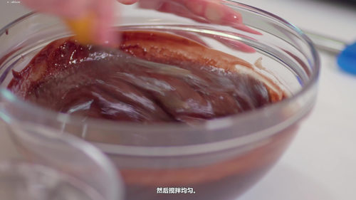 巧克力与甜点的艺术 (英文课程中文字幕)