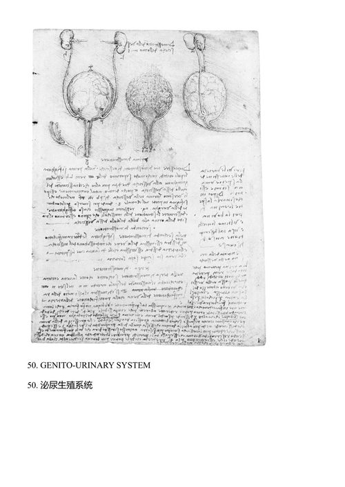 列奥纳多的解剖学手稿 列奥纳多·达·芬奇 (中英对照电子书)